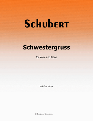 Book cover for Schwestergruss, by Schubert, in b flat minor