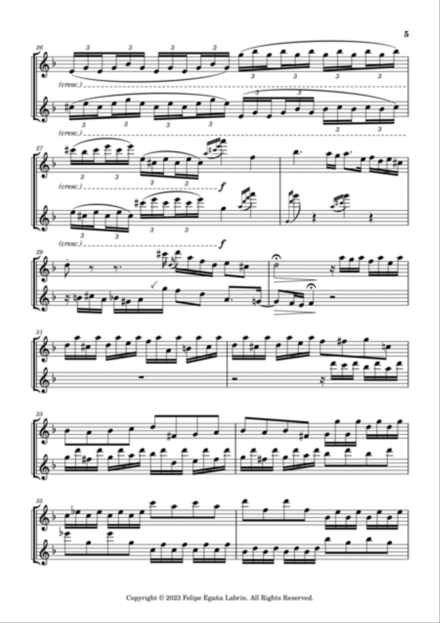 Toccata and Fugue in d minor BWV 565 Flute Duet scores gallery preview page 5