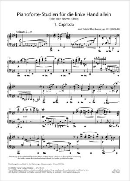 Pianoforte-Studien fur die linke Hand allein