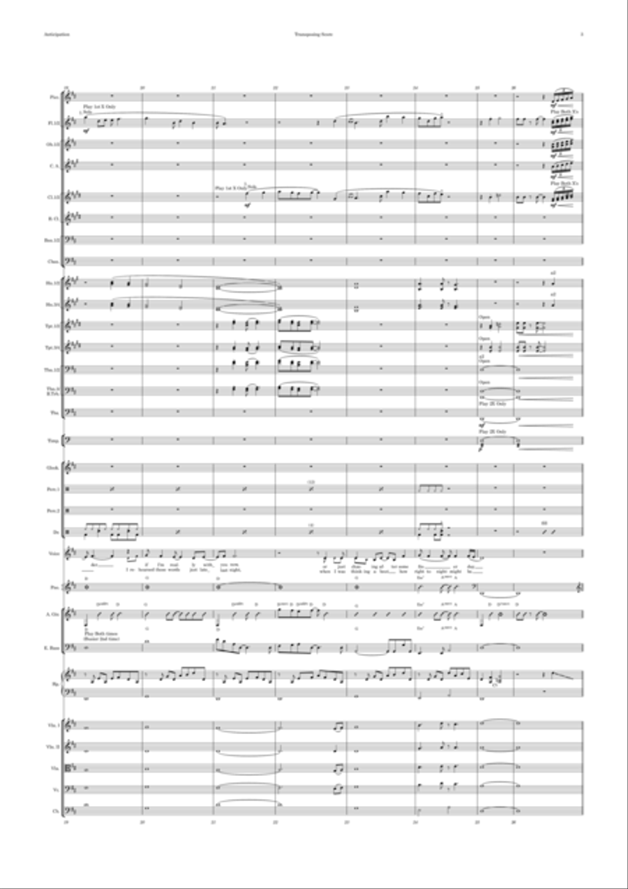 Anticipation Anticipation Full Orchestra scores gallery preview page 3