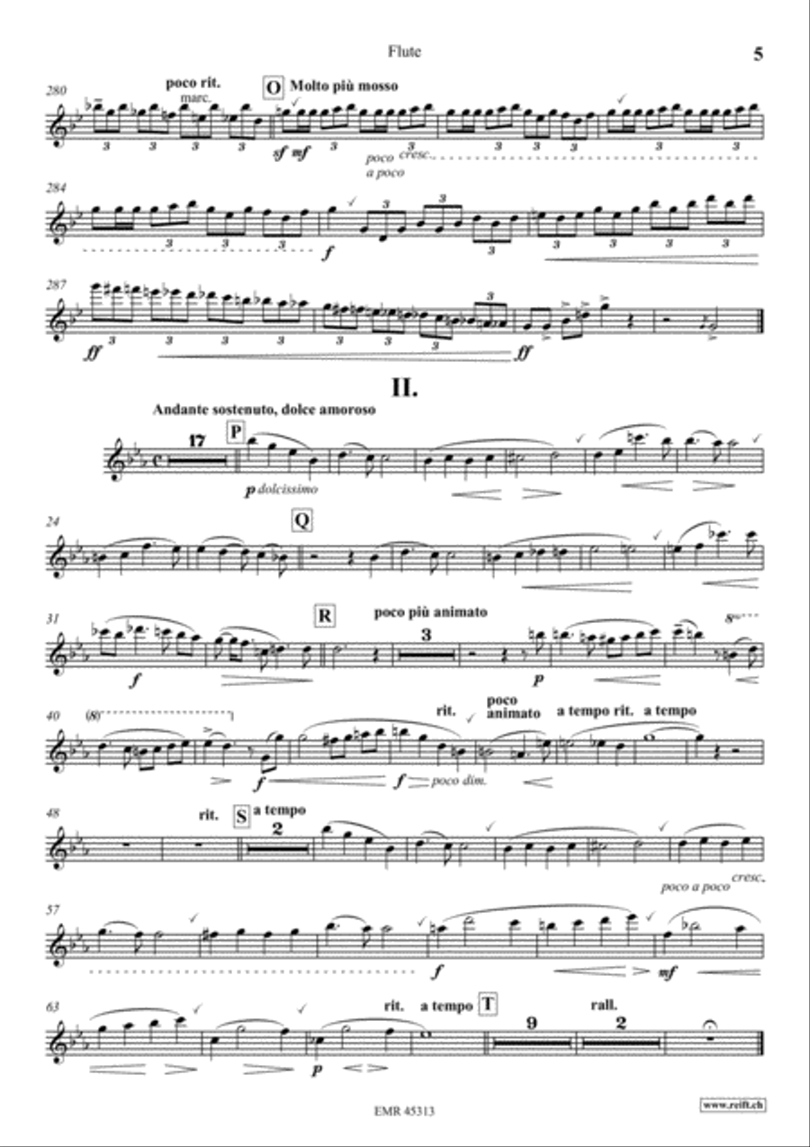 Konzert No. 1 g-moll Konzert No. 1 g-moll Flute Solo scores gallery preview page 6