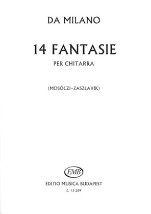 Book cover for 14 Fantasie