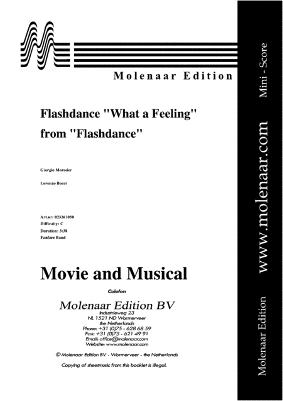 Flashdance. . . What a Feeling Fanfare Band scores gallery preview page 2