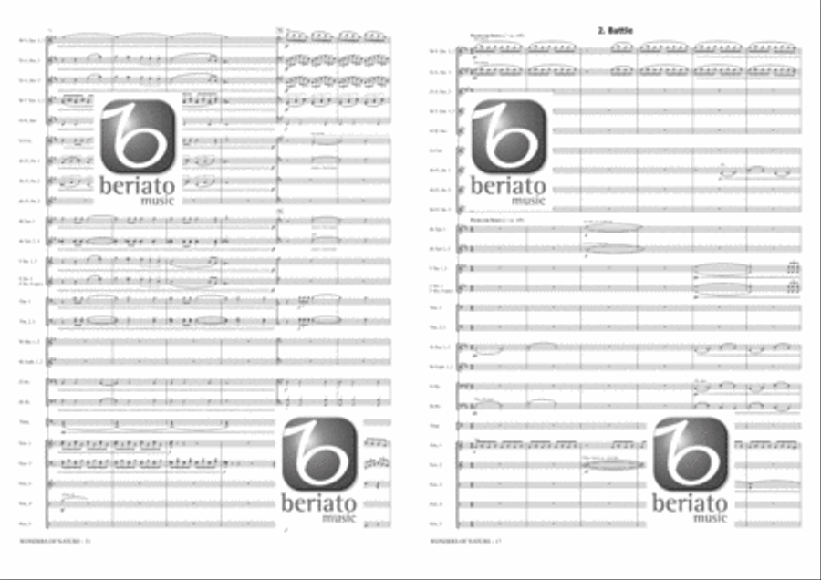 Wonders of Nature Fanfare Band scores gallery preview page 7