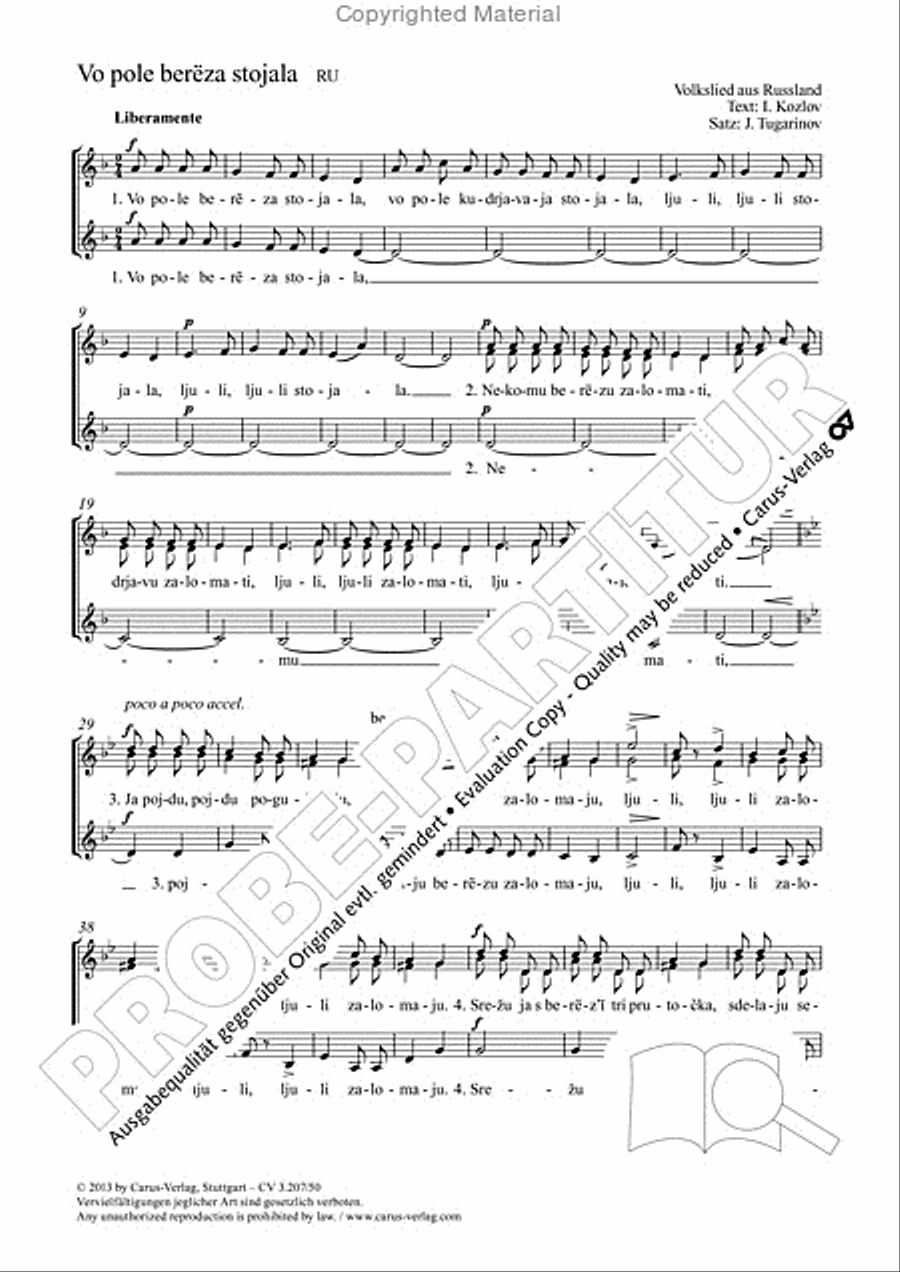 Vo pole bereza stojala SSA scores gallery preview page 2