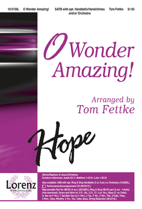 Book cover for O Wonder Amazing!