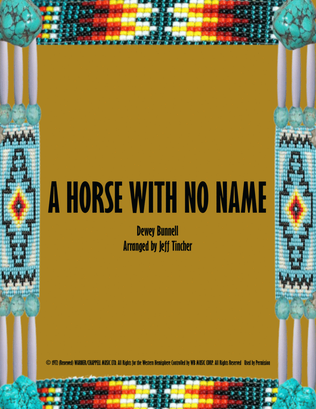 Book cover for A Horse With No Name