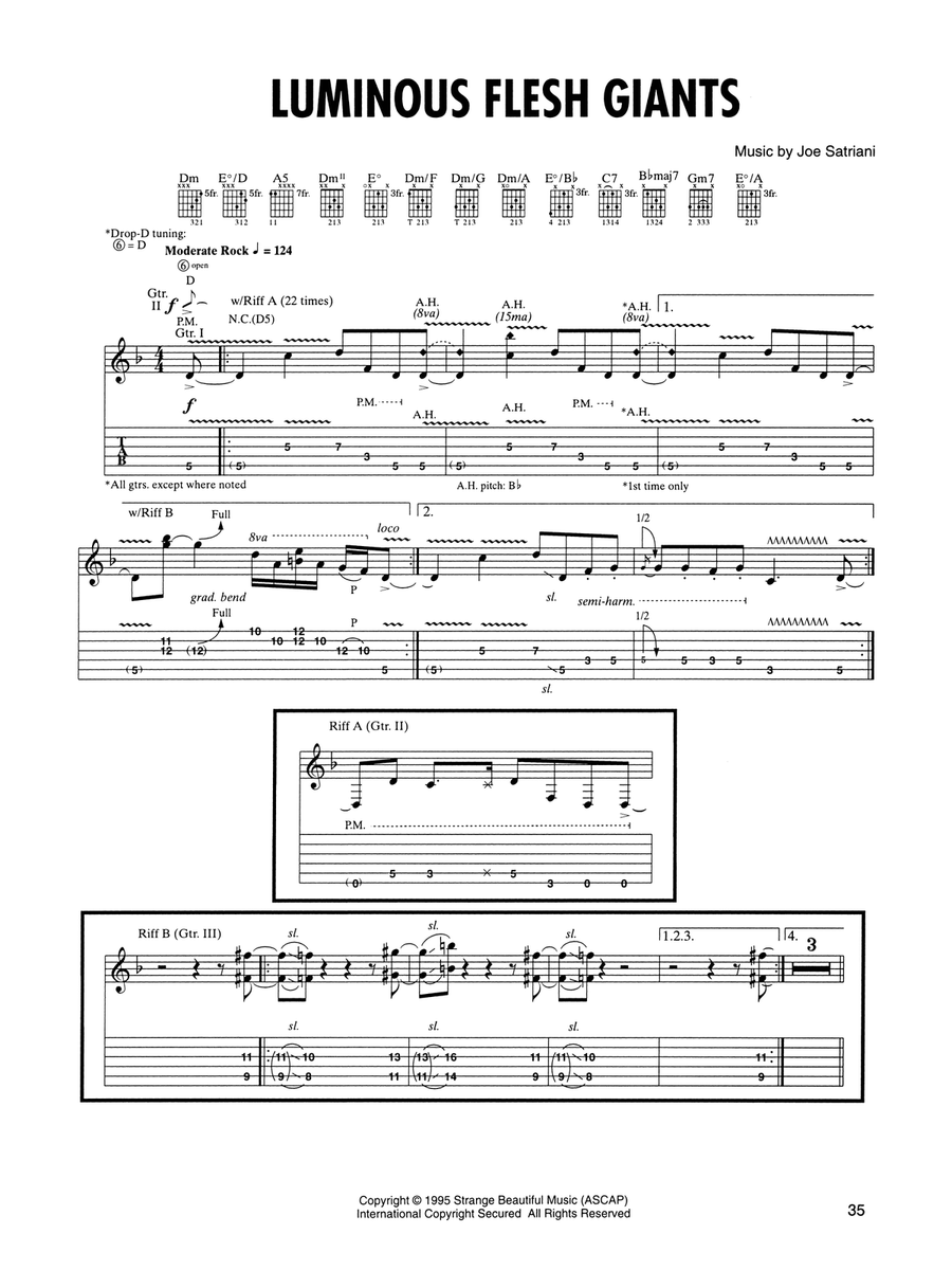 Luminous Flesh Giants Luminous Flesh Giants Acoustic Guitar scores gallery preview page 1