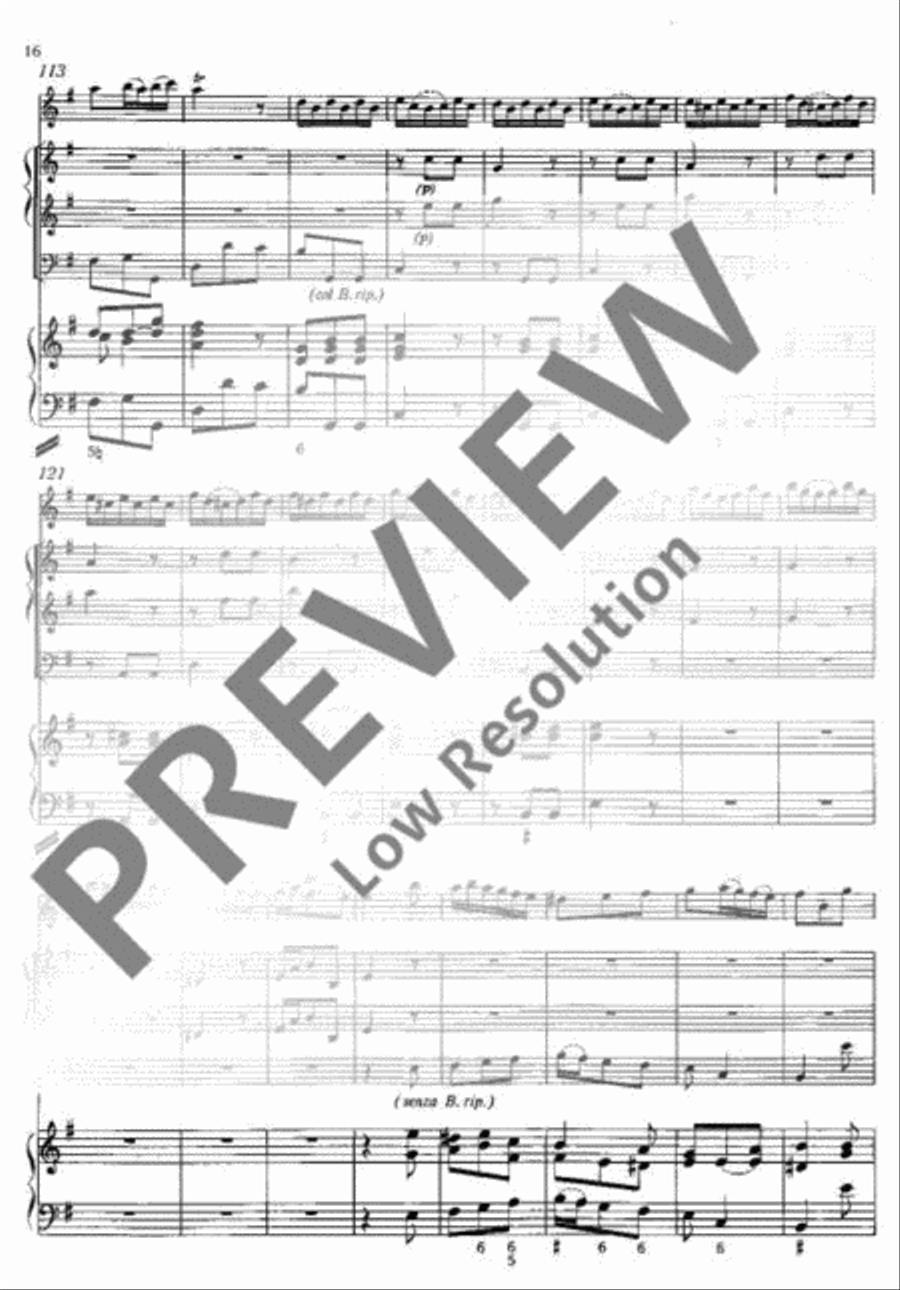 Concerto E minor Flute Solo scores gallery preview page 17