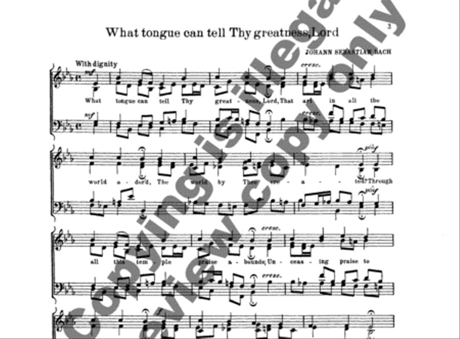 What Tongue Can Tell Thy Greatness, Lord (BWV Anh.162) 4-Part scores gallery preview page 3