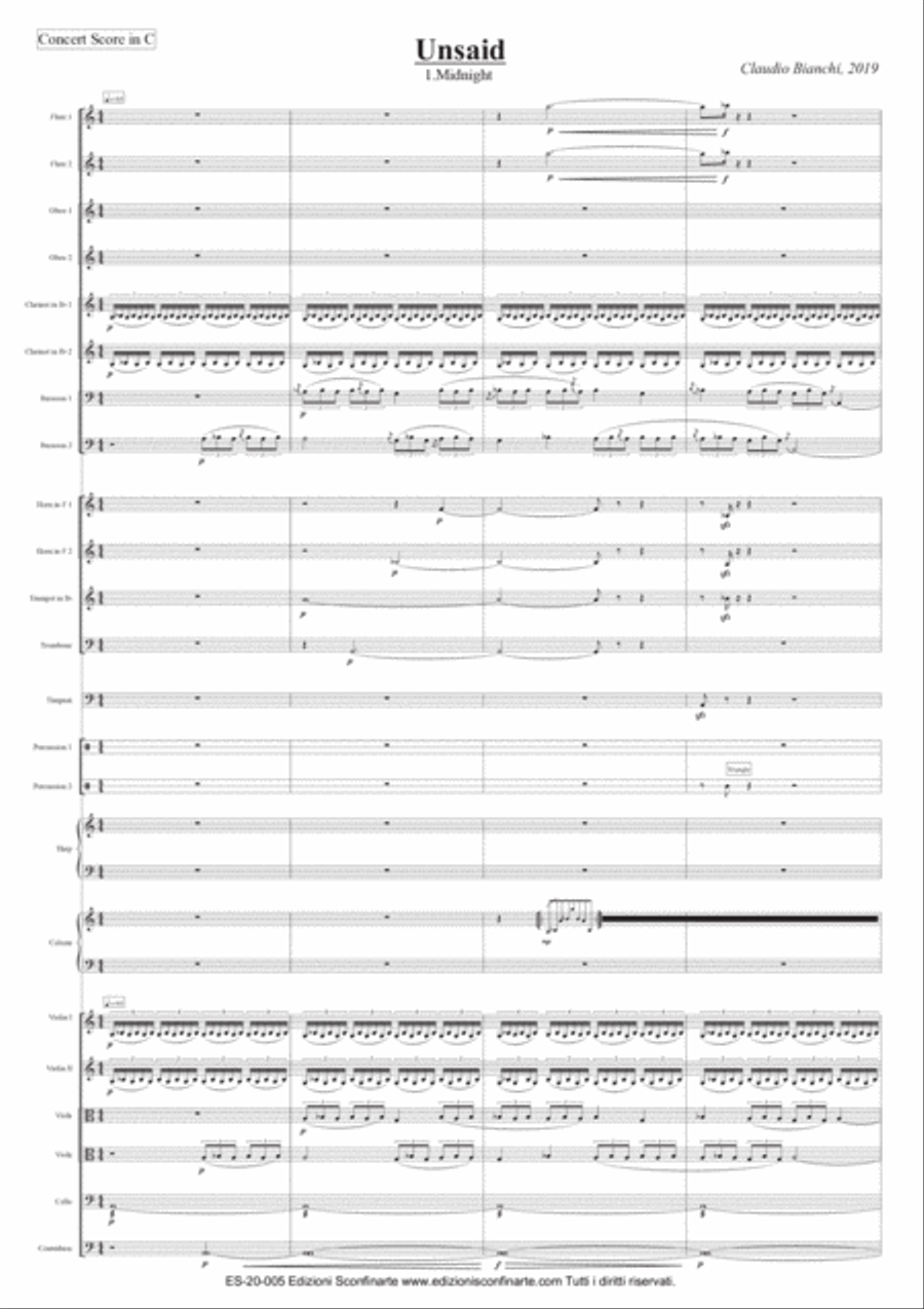 Claudio Bianchi: UNSAID (ES-20-005) - Score Only Chamber Orchestra scores gallery preview page 3