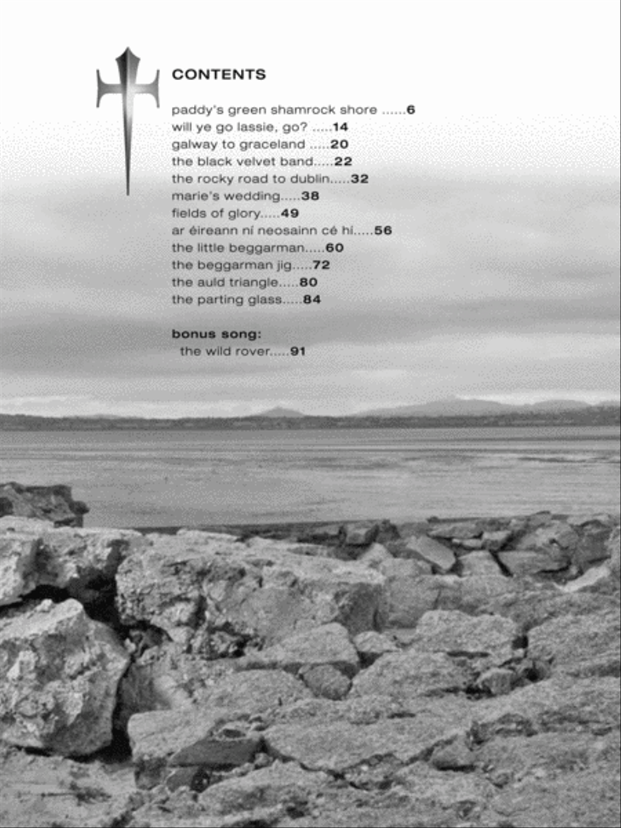 The High Kings Piano, Vocal, Guitar scores gallery preview page 2