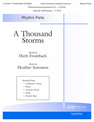 Book cover for A Thousand Storms