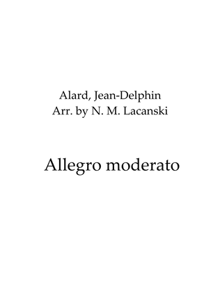 Book cover for Allegro moderato