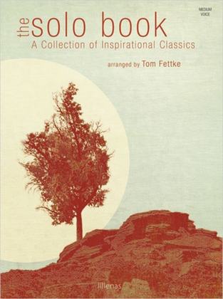 Book cover for The Solo Book