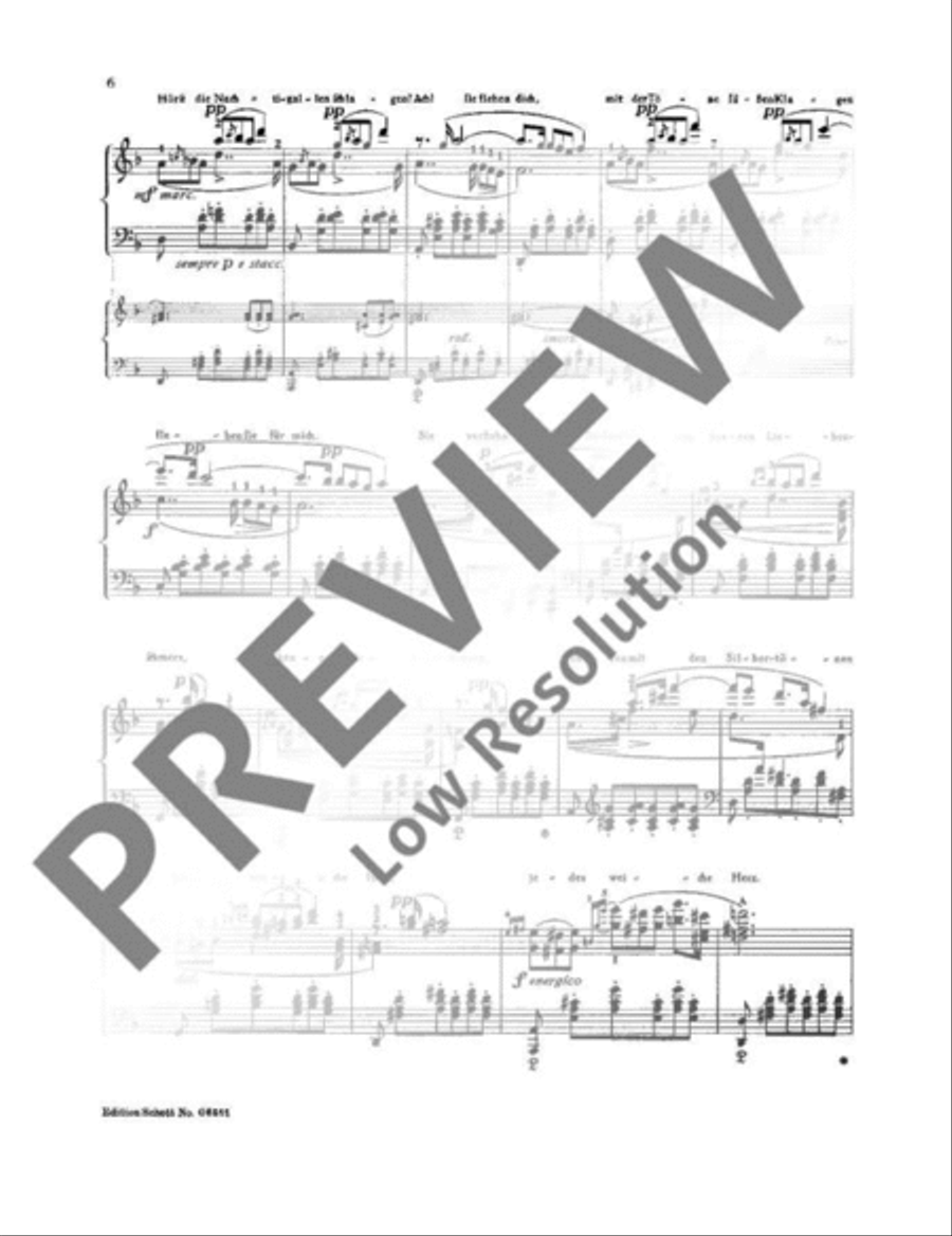Ständchen Ständchen Piano Solo scores gallery preview page 7