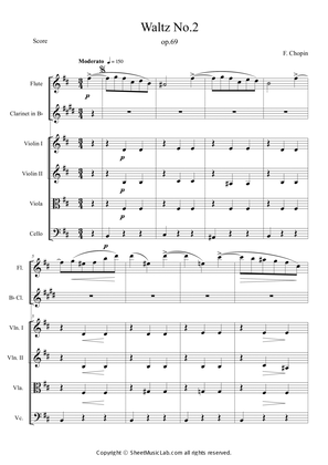 Waltz No.10 in B Minor Op.69, No.2