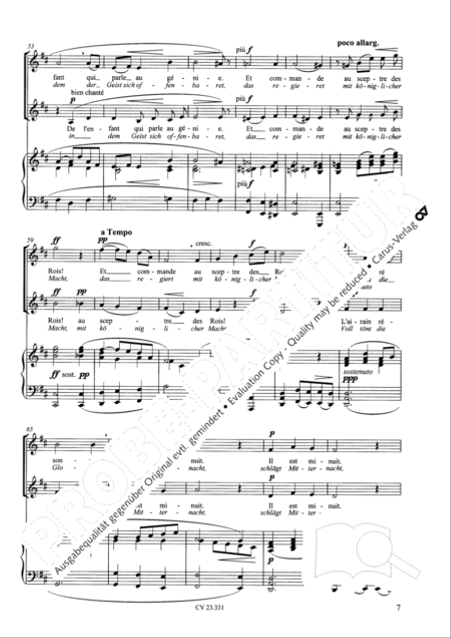Noel (Weihnachtslied; Steigt auf zu Gott) SA scores gallery preview page 8