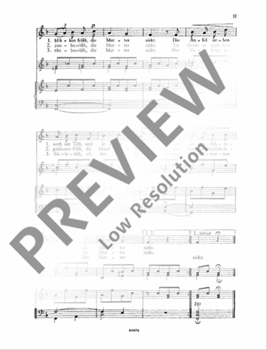 Lieder zur Laute Lieder zur Laute Voice Solo scores gallery preview page 14