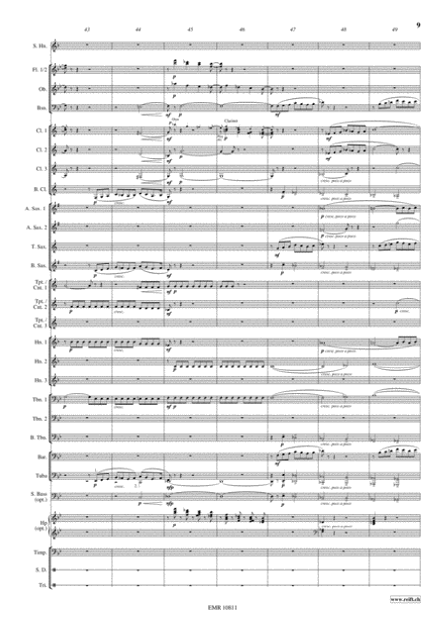 Horn Concerto Concert Band scores gallery preview page 10