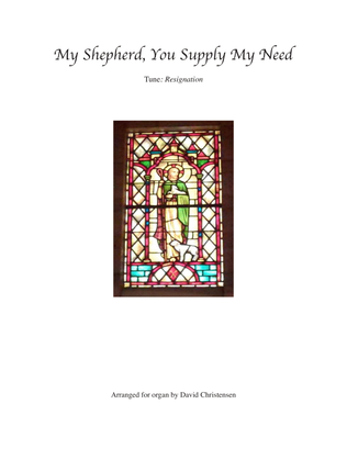 Book cover for My Shepherd, You Supply My Need