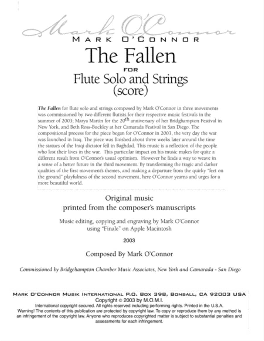 The Fallen – Flute Concerto (score – flute and string orchestra) Chamber Orchestra scores gallery preview page 3