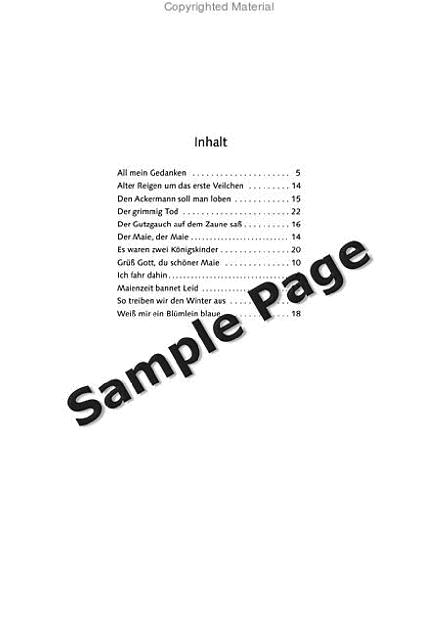 Roller Coaster Ride Piano Solo scores gallery preview page 4