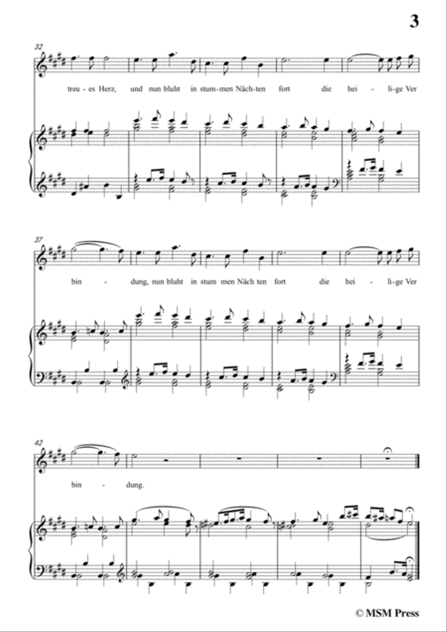 Wolf-Nachtviolen in E Major,for Voice and Piano Voice Solo scores gallery preview page 5