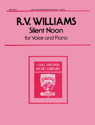 Book cover for Silent Noon