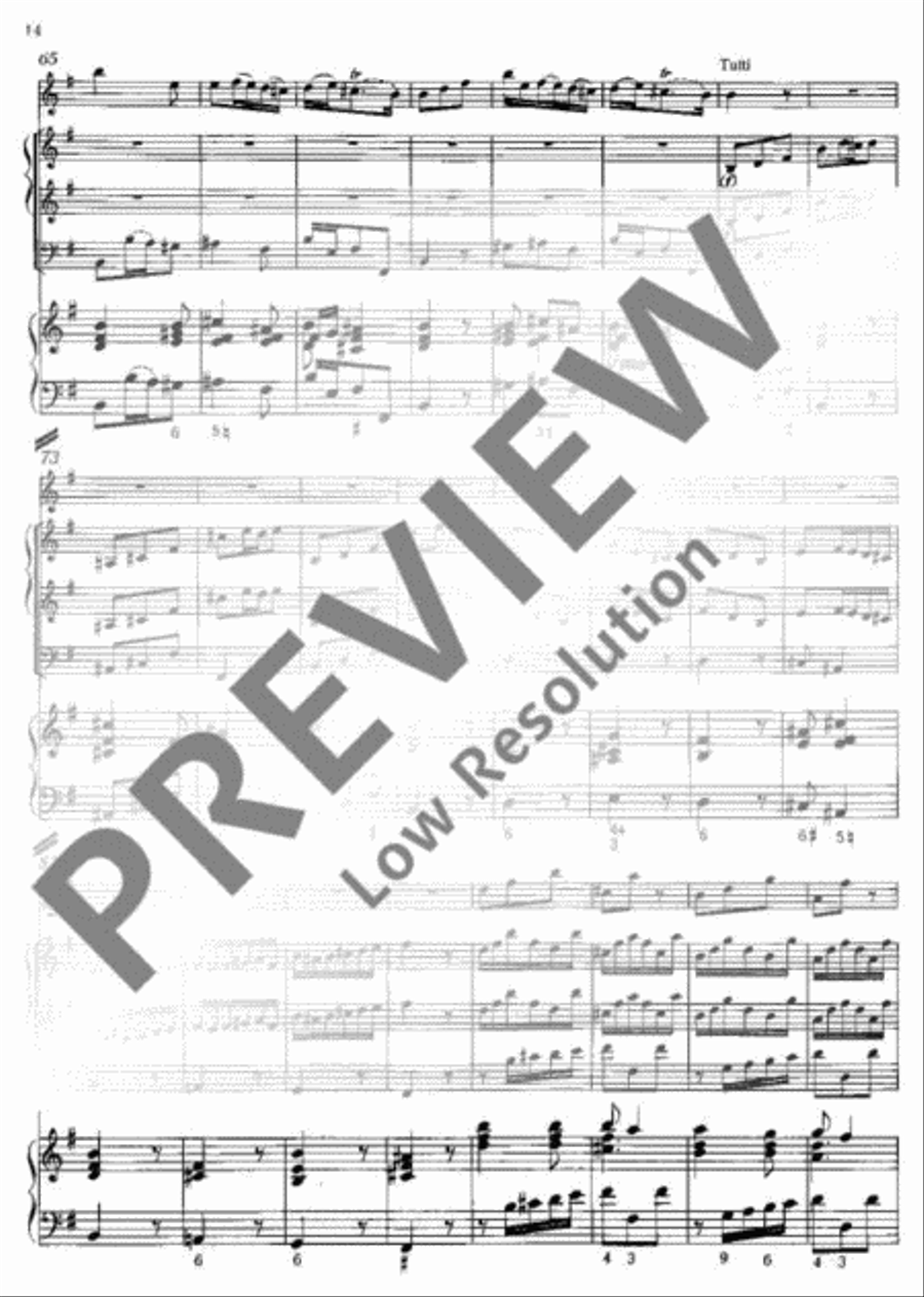 Concerto E minor Flute Solo scores gallery preview page 15