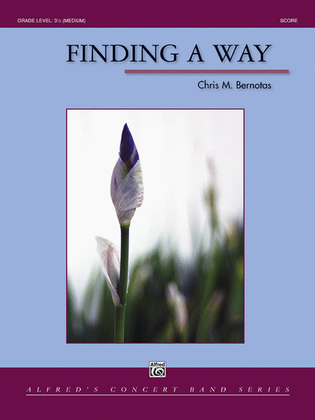 Book cover for Finding a Way