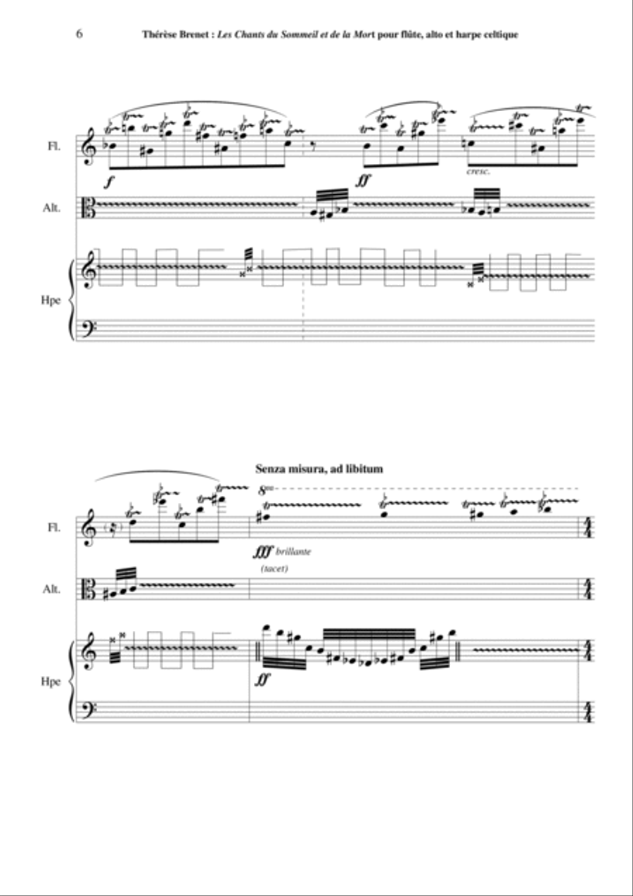 Thérèse Brenet - Chants du Sommeil et de la Mort Small Ensemble scores gallery preview page 6