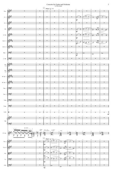 Concerto for Guitar and Orchestra image number null