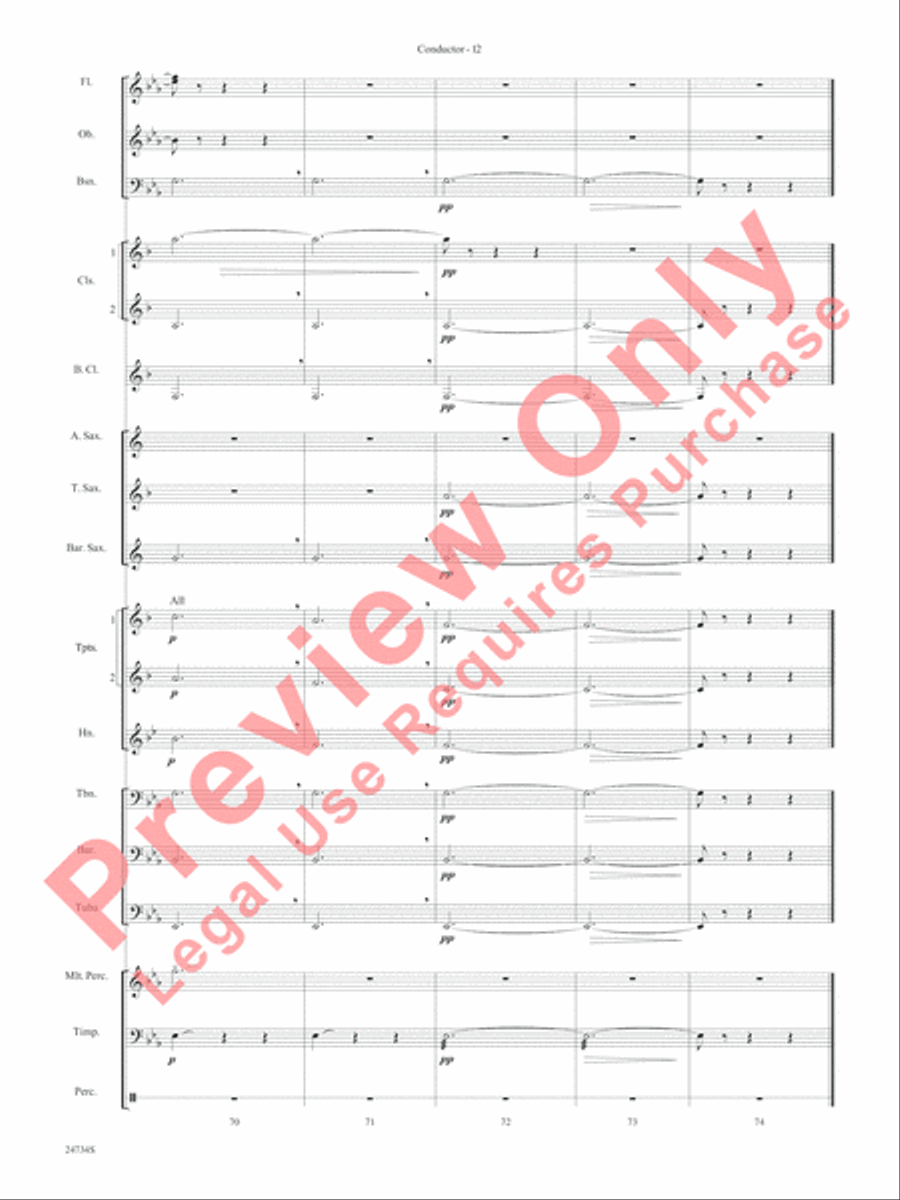 Nocturne (Opus 9, No. 2) Concert Band scores gallery preview page 15
