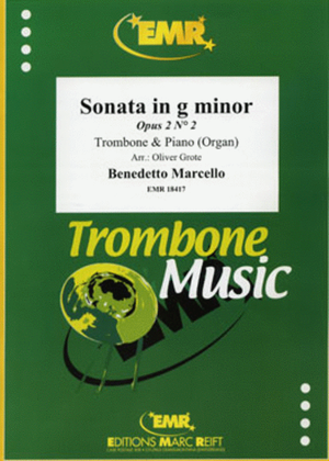Book cover for Sonata in g minor