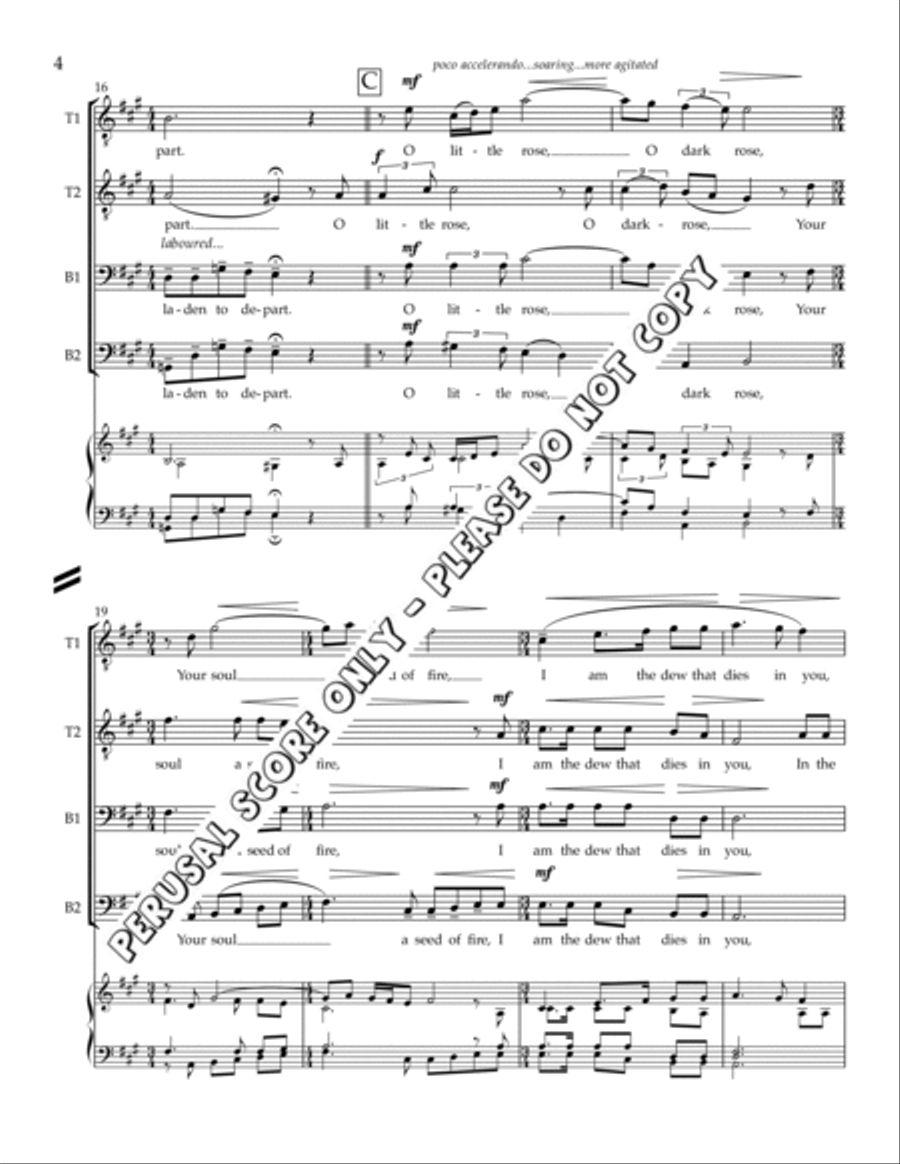 O Little Rose, O Dark Rose TTBB scores gallery preview page 4