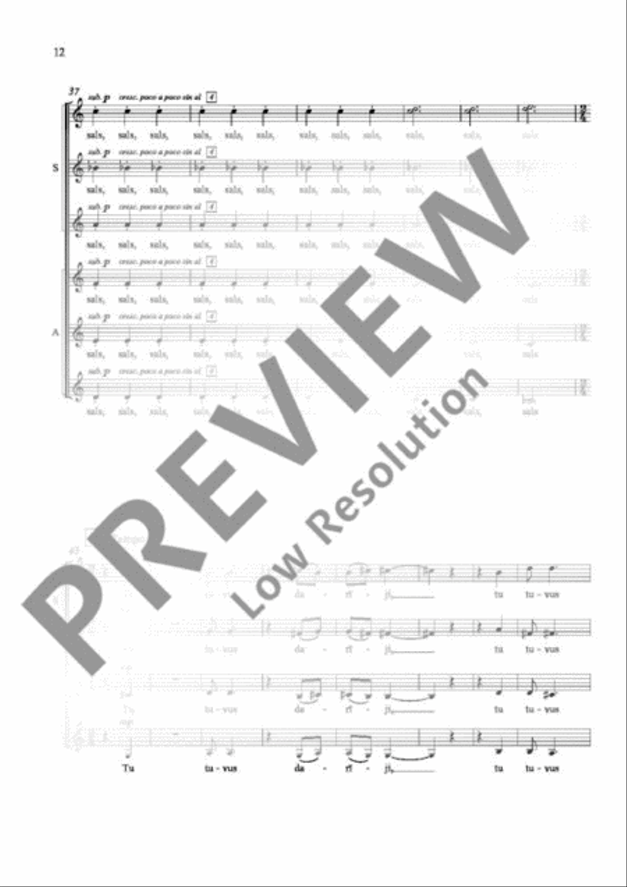 Ne tikai lirika Ne tikai lirika Women's Choir scores gallery preview page 13