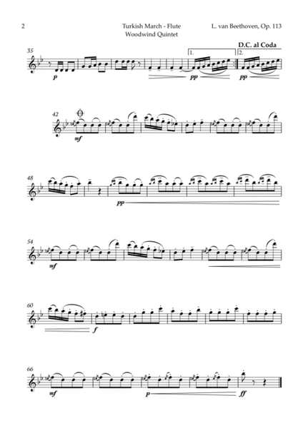 Turkish March by Beethoven for Woodwind Quintet image number null