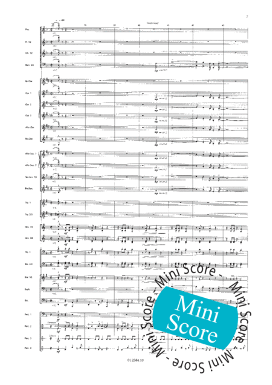 Os Passaros Do Brasil Concert Band scores gallery preview page 15