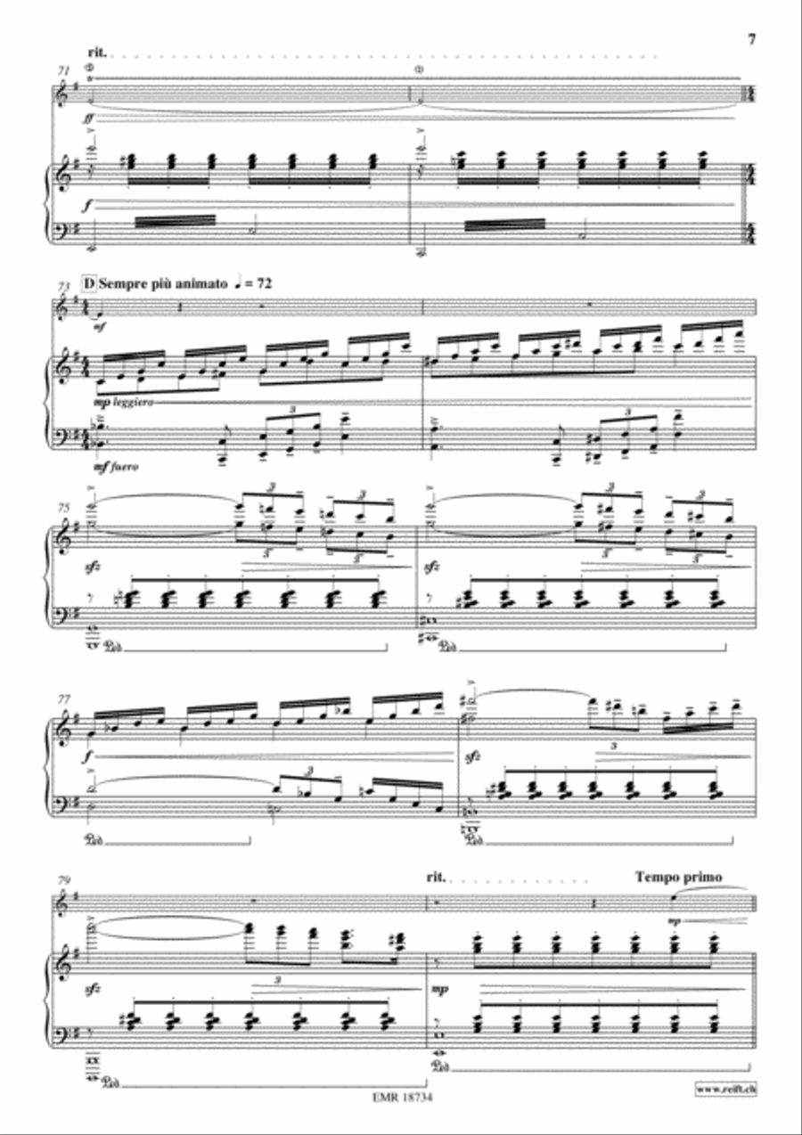 Elegy Flute Solo scores gallery preview page 7