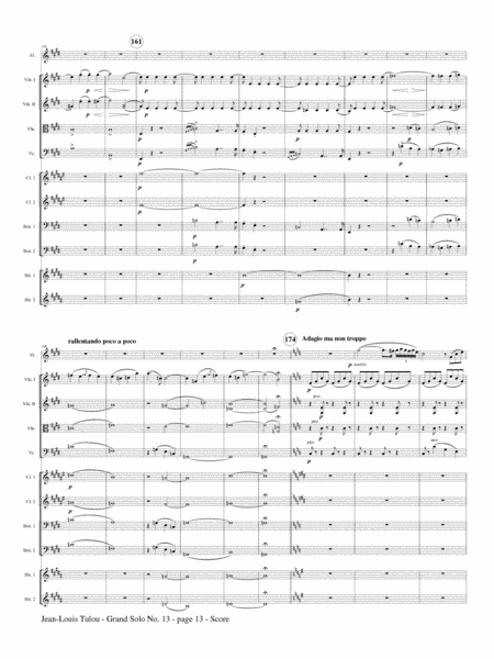 Grand Solo No. 13 for Flute and Orchestra