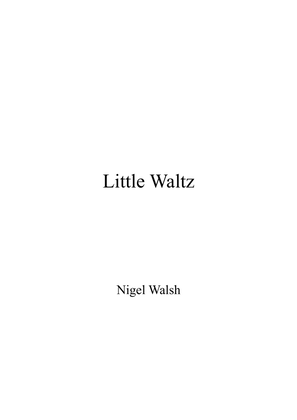 Book cover for Little Waltz