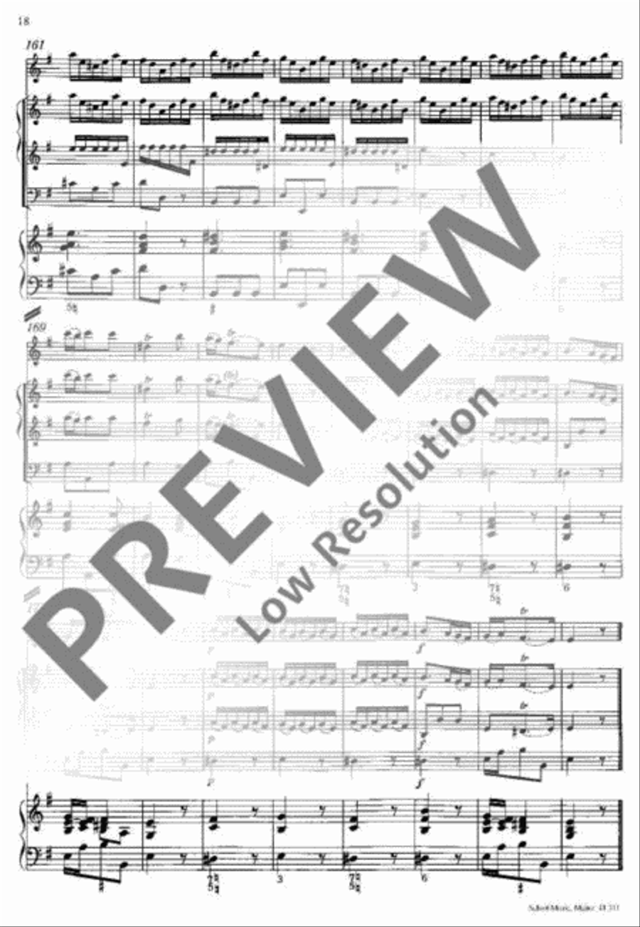 Concerto E minor Flute Solo scores gallery preview page 19