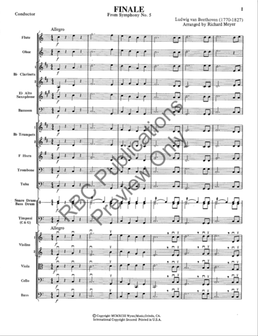 Finale From Symphony #5 (Score) Full Orchestra scores gallery preview page 4