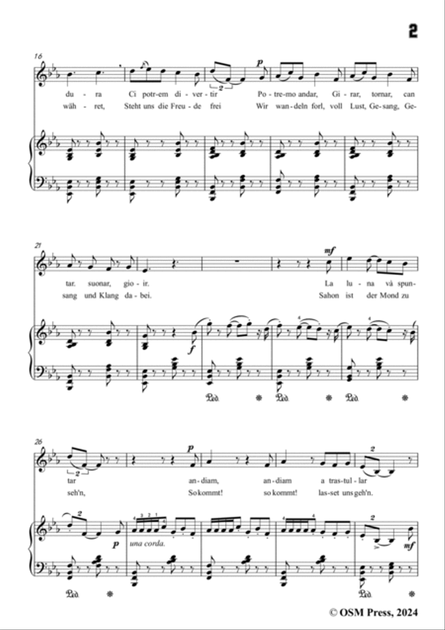 Paladilhe-Mandolinata( Souvenir de Rome),in E flat Major Voice scores gallery preview page 3