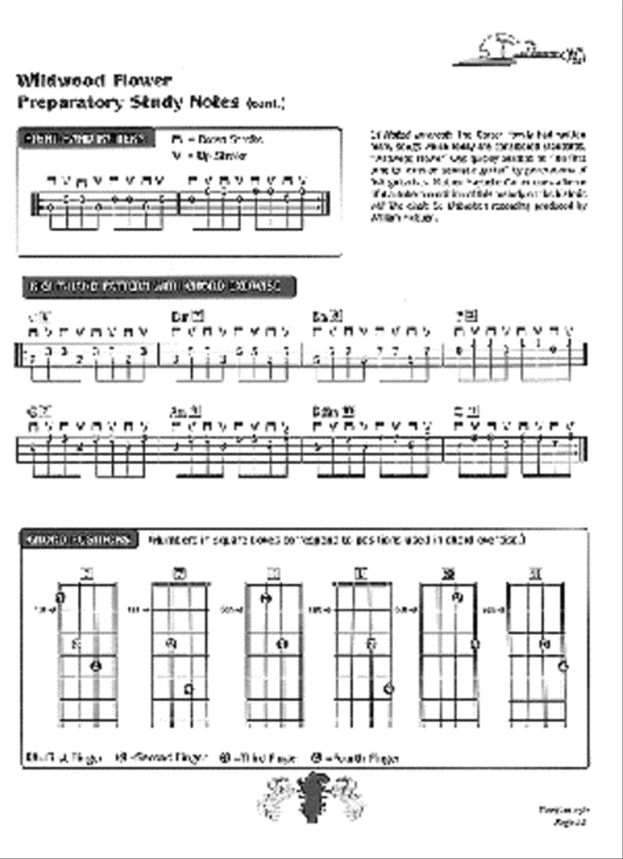 Mandolin Crosspicking Technique Mandolin scores gallery preview page 3