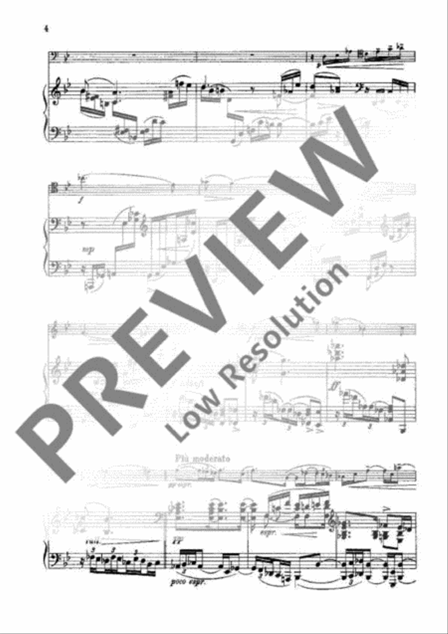 Sonata G Minor Piano Accompaniment scores gallery preview page 3