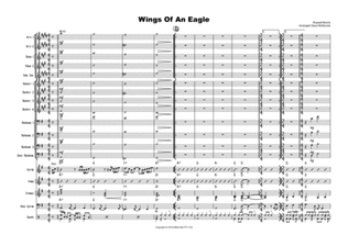 Book cover for Wings Of An Eagle