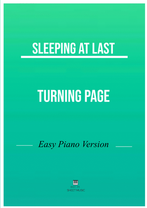 Book cover for Turning Page