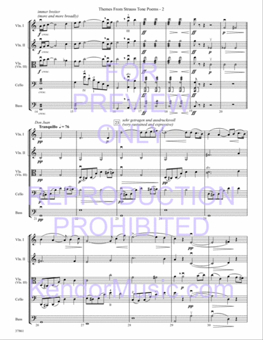 Themes From Strauss Tone Poems String Orchestra scores gallery preview page 4